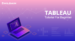 Tableau Tutorial for Beginners