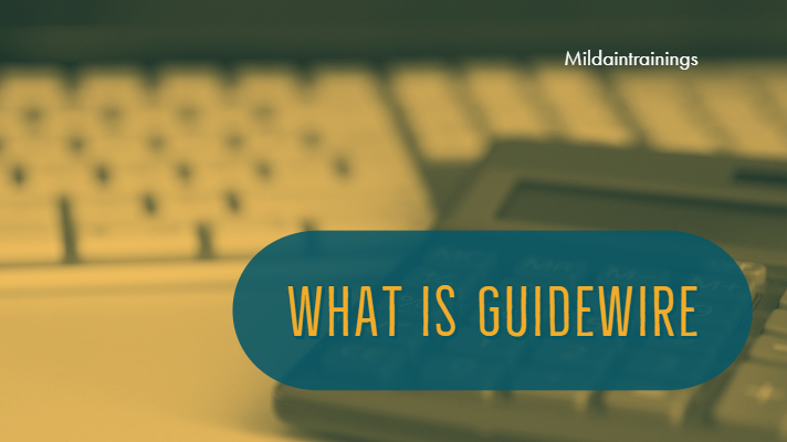 What is Guidewire ?